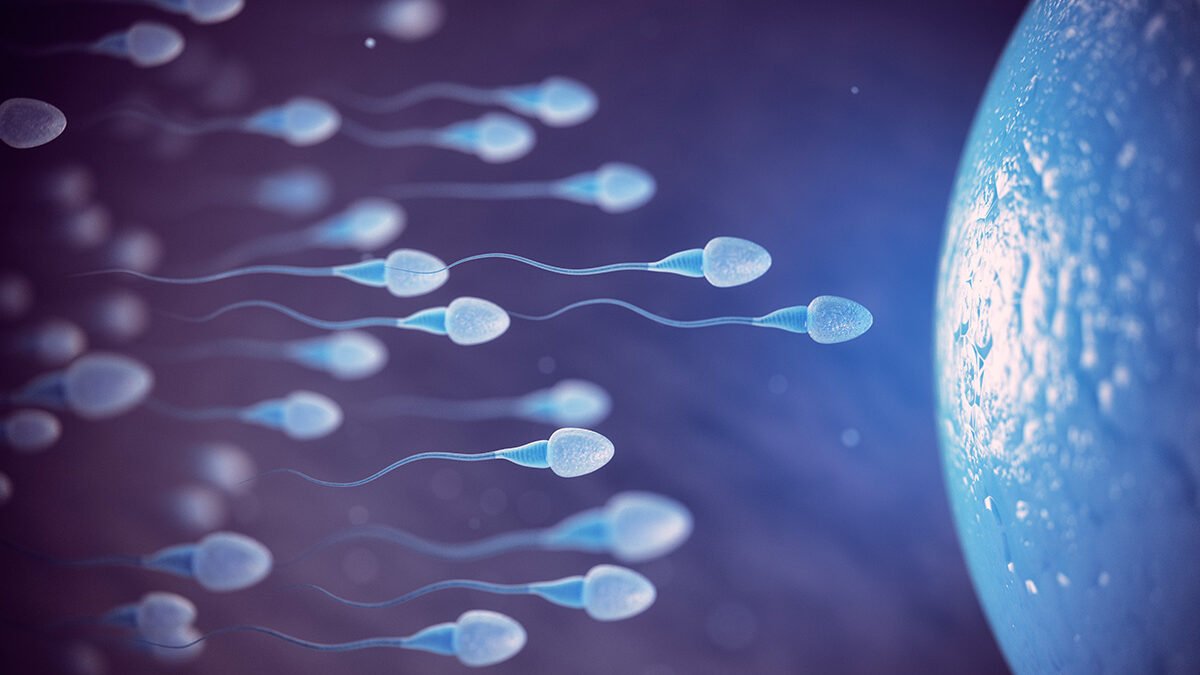 Inseminação Intra-Uterina | Dra. Carolina Fujimoto