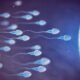 Inseminação Intra-Uterina | Dra. Carolina Fujimoto