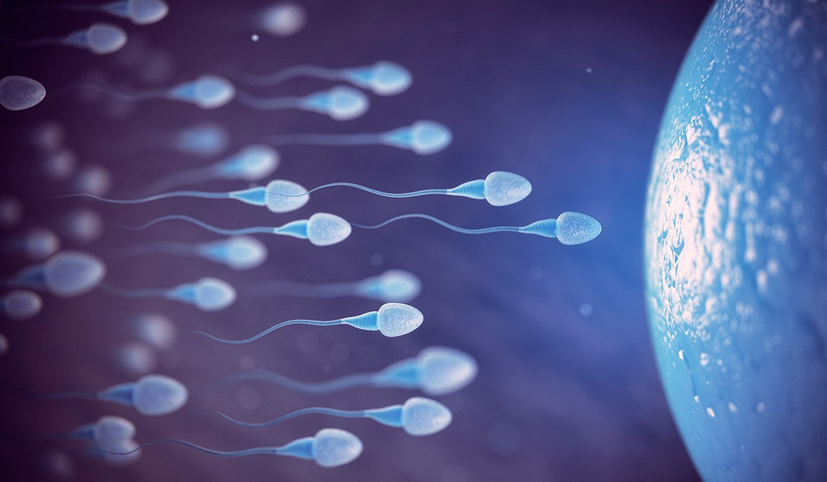 Inseminação Intra-Uterina | Dra. Carolina Fujimoto